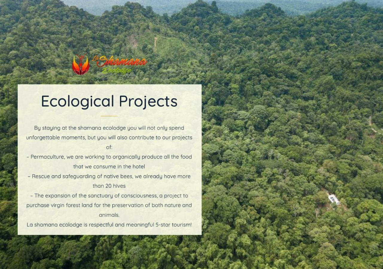 Villa La Shamana - Ecological Concept In Jungle à Cahuita Extérieur photo