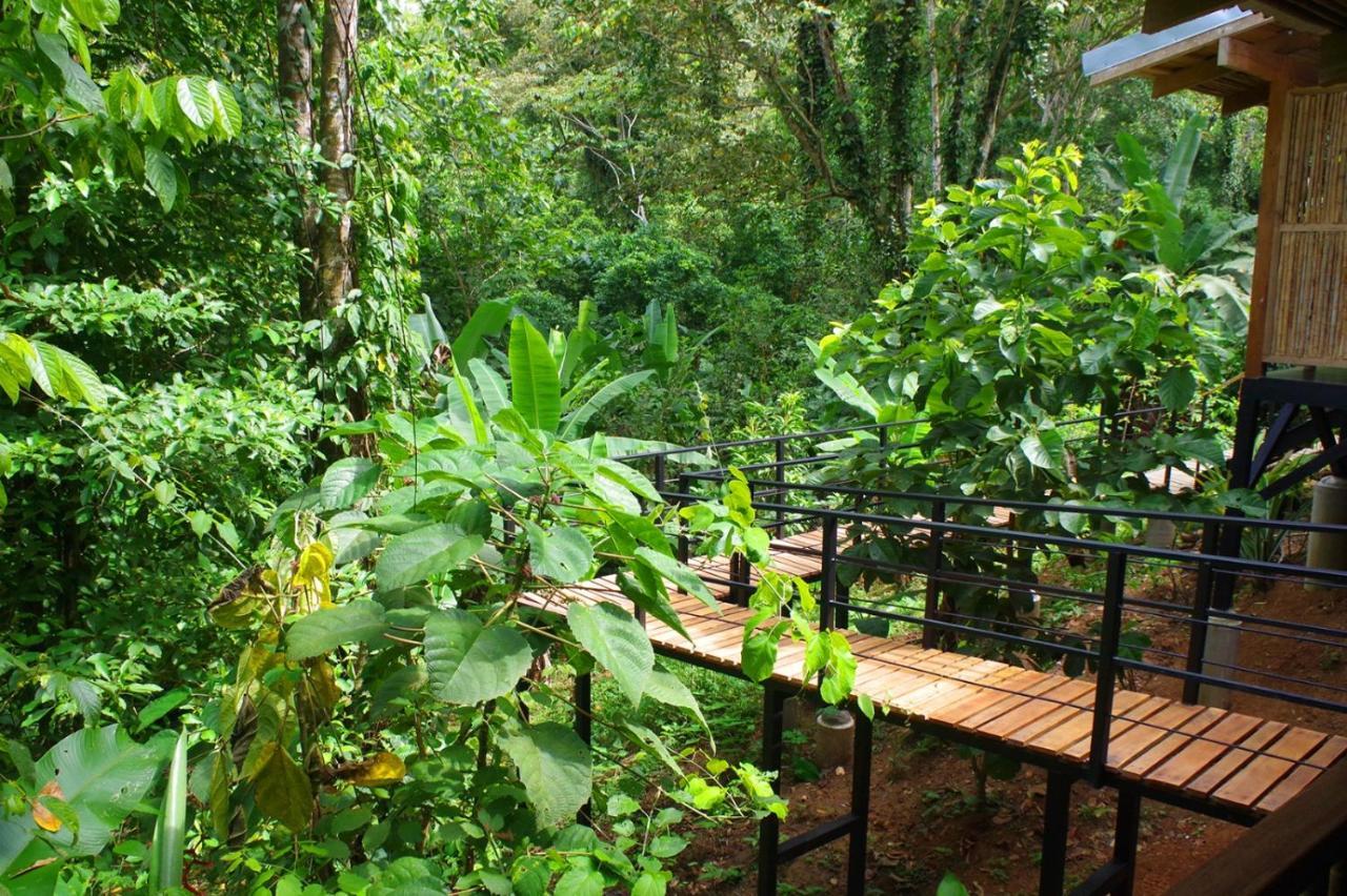 Villa La Shamana - Ecological Concept In Jungle à Cahuita Extérieur photo