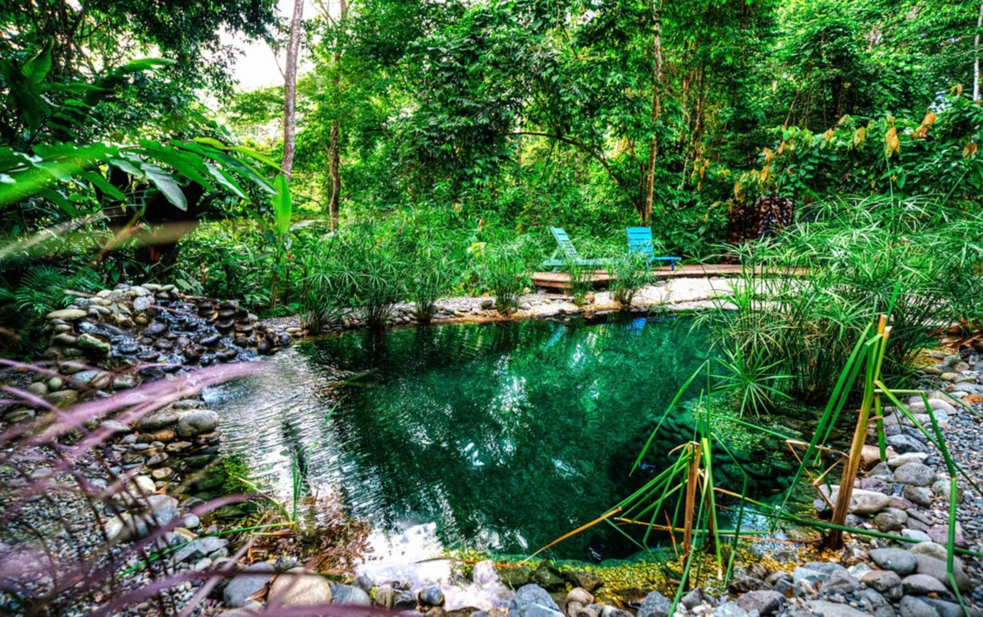 Villa La Shamana - Ecological Concept In Jungle à Cahuita Extérieur photo