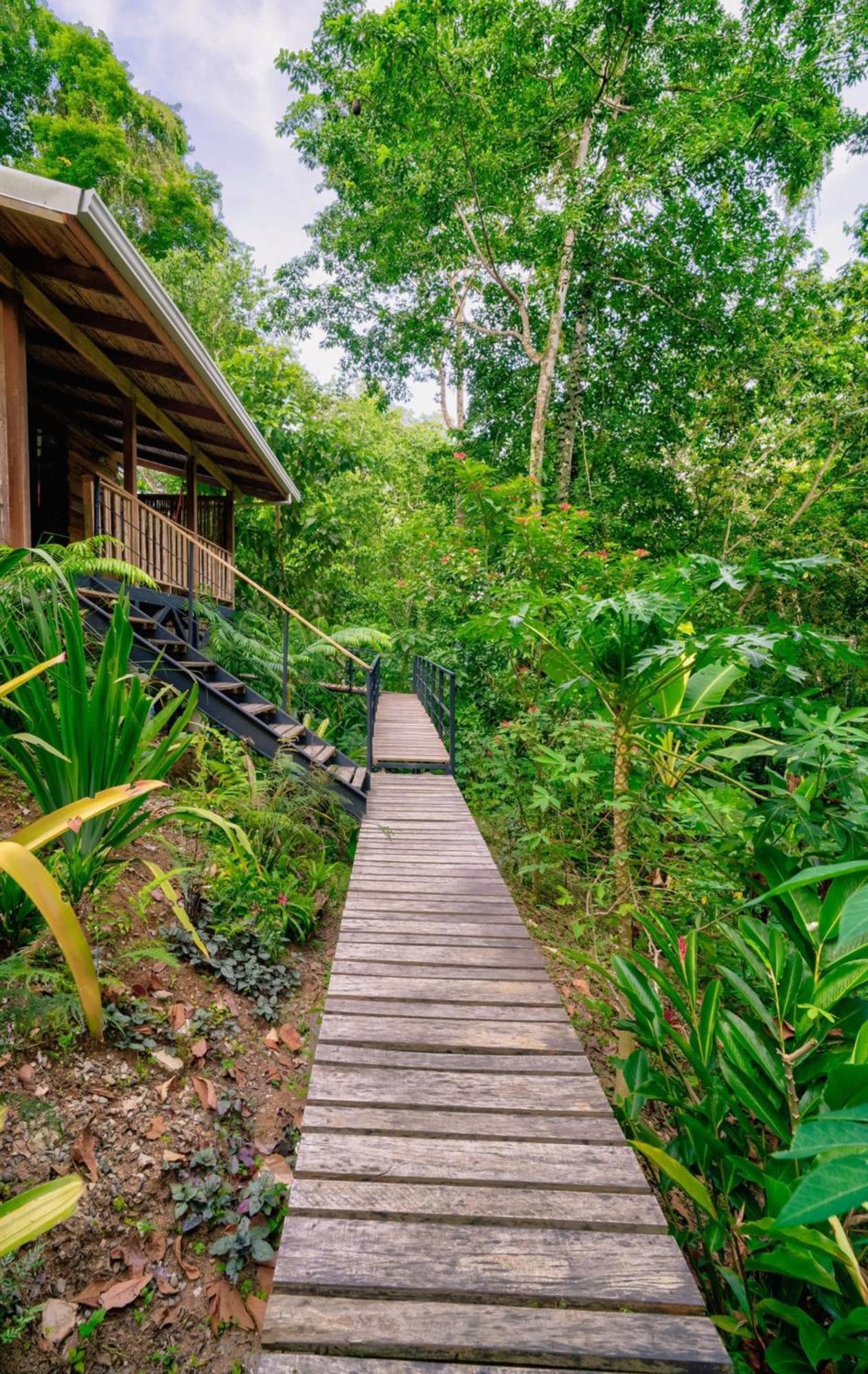 Villa La Shamana - Ecological Concept In Jungle à Cahuita Extérieur photo