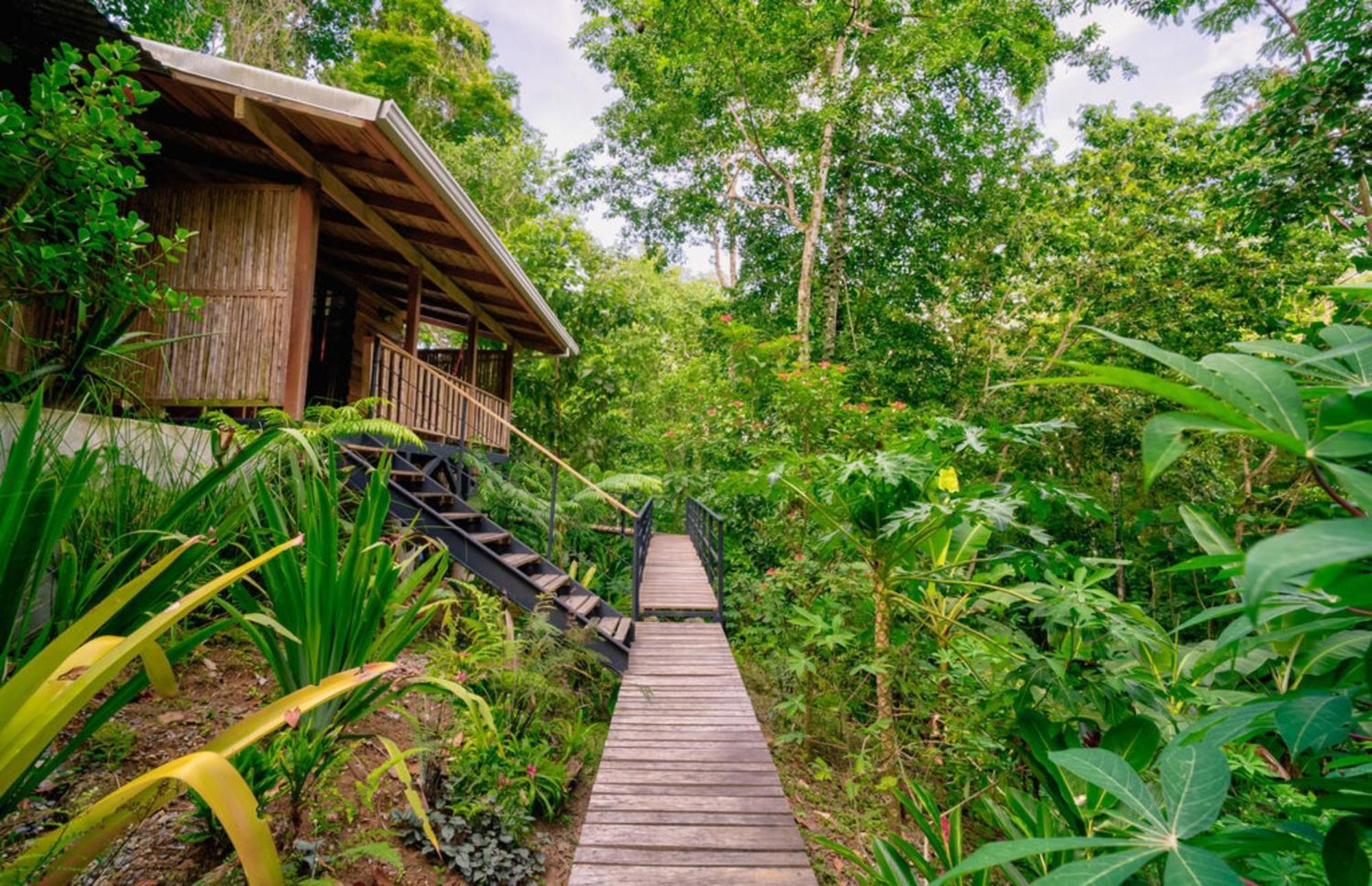 Villa La Shamana - Ecological Concept In Jungle à Cahuita Chambre photo