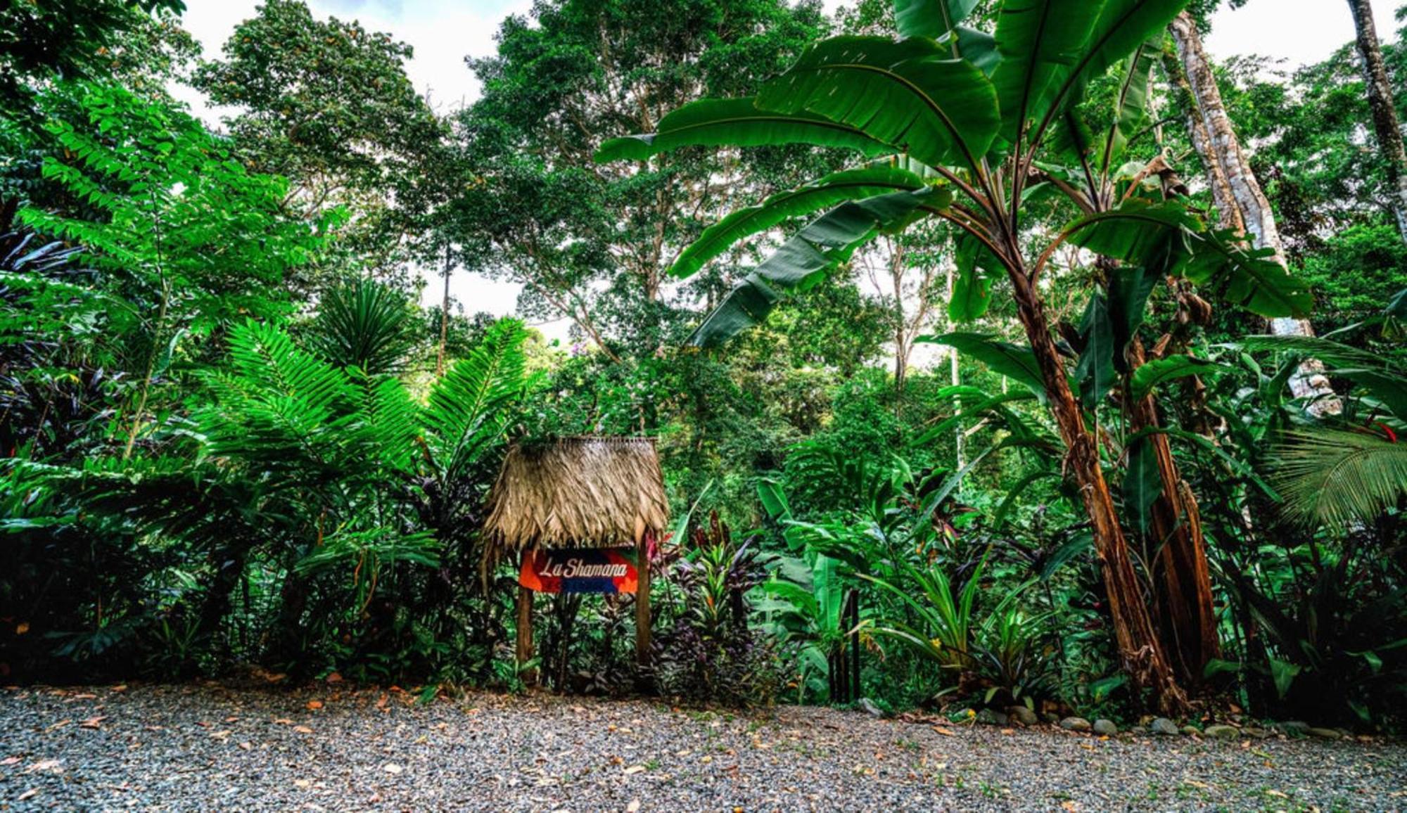 Villa La Shamana - Ecological Concept In Jungle à Cahuita Extérieur photo