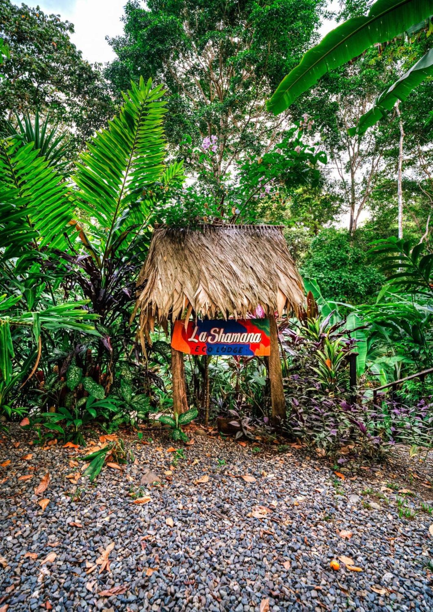 Villa La Shamana - Ecological Concept In Jungle à Cahuita Extérieur photo