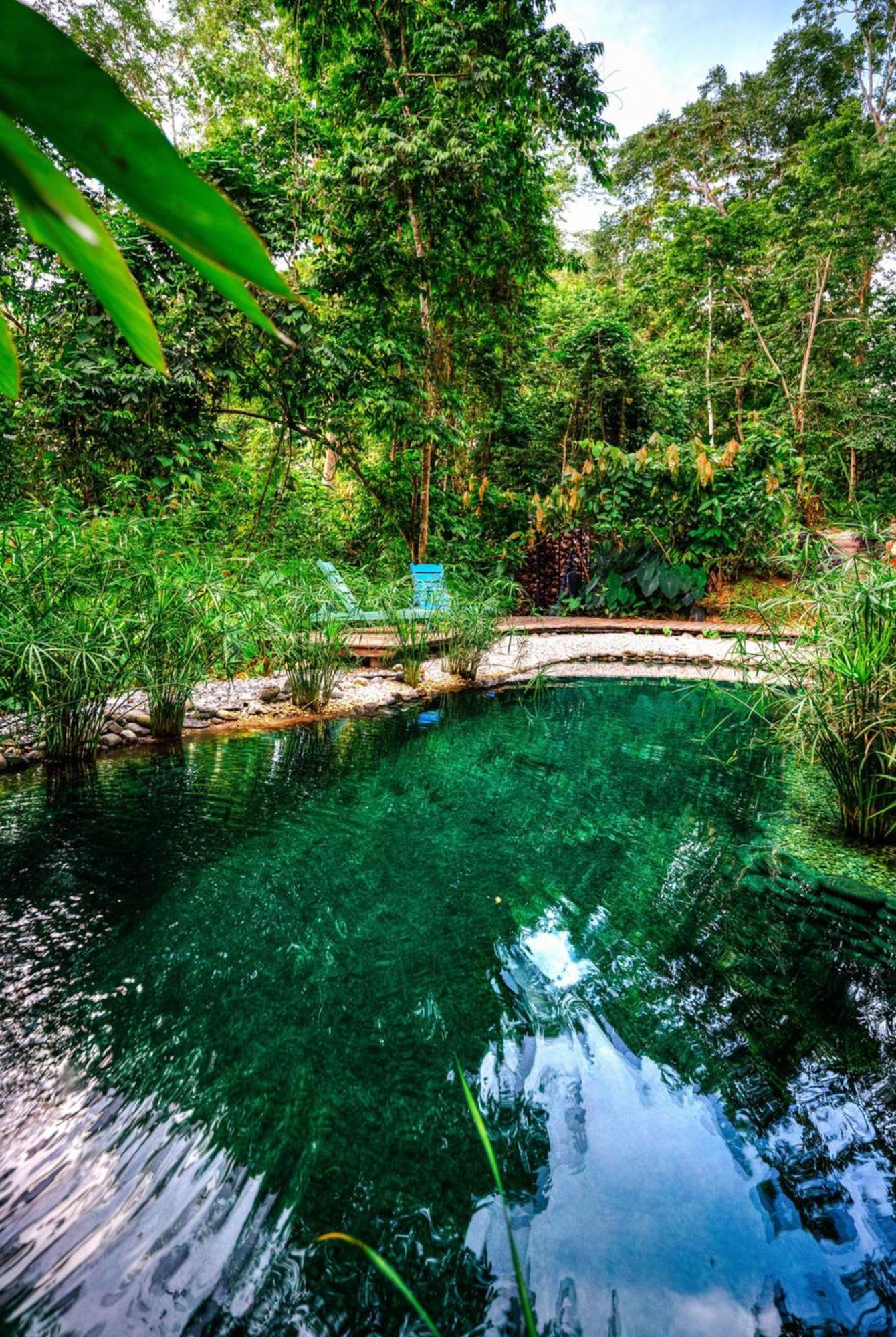 Villa La Shamana - Ecological Concept In Jungle à Cahuita Extérieur photo
