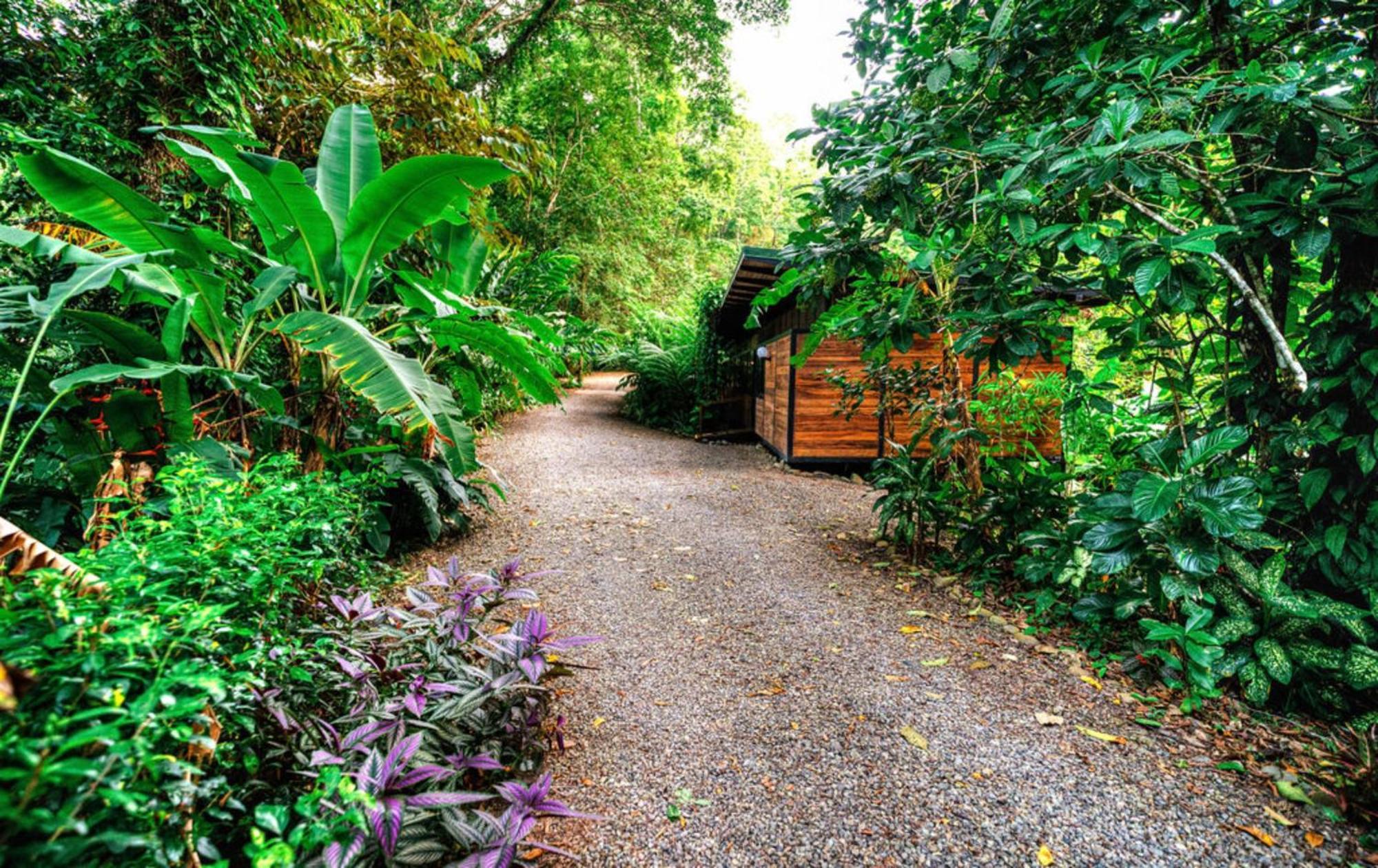 Villa La Shamana - Ecological Concept In Jungle à Cahuita Extérieur photo