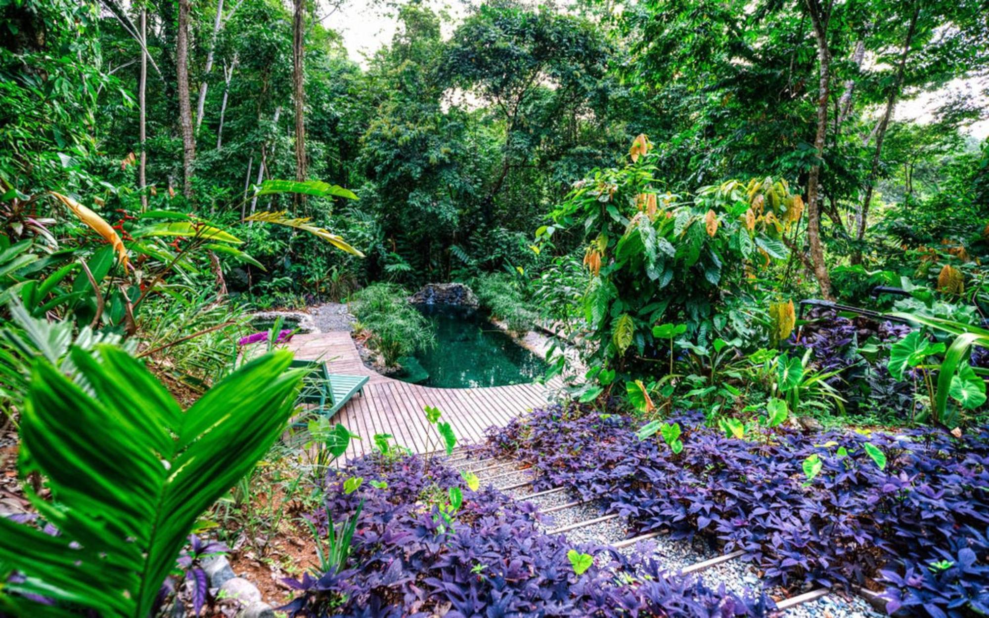 Villa La Shamana - Ecological Concept In Jungle à Cahuita Extérieur photo