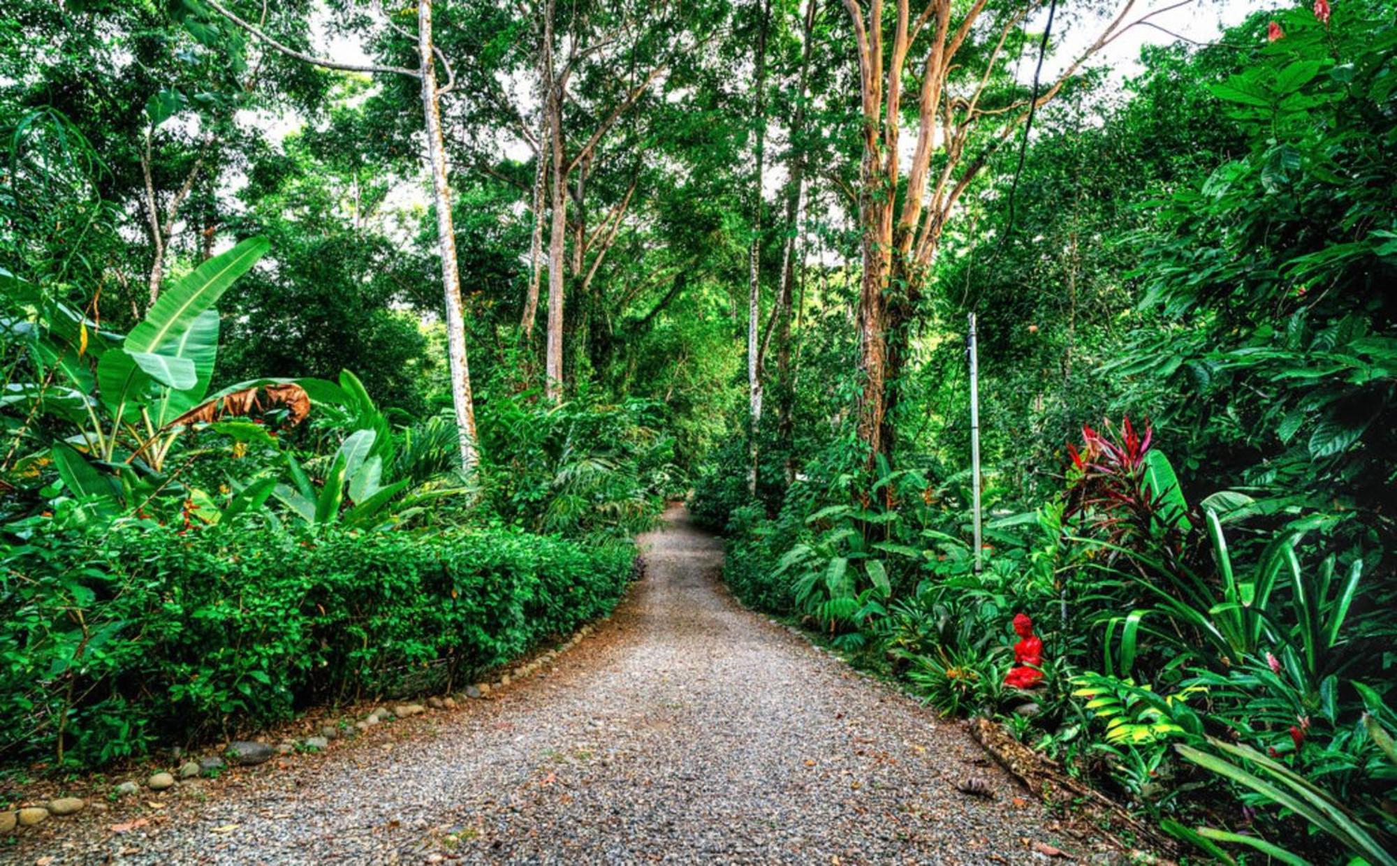 Villa La Shamana - Ecological Concept In Jungle à Cahuita Extérieur photo