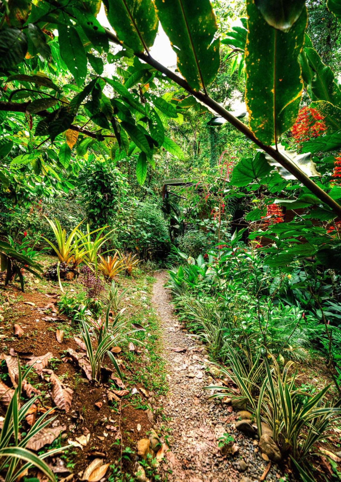 Villa La Shamana - Ecological Concept In Jungle à Cahuita Extérieur photo