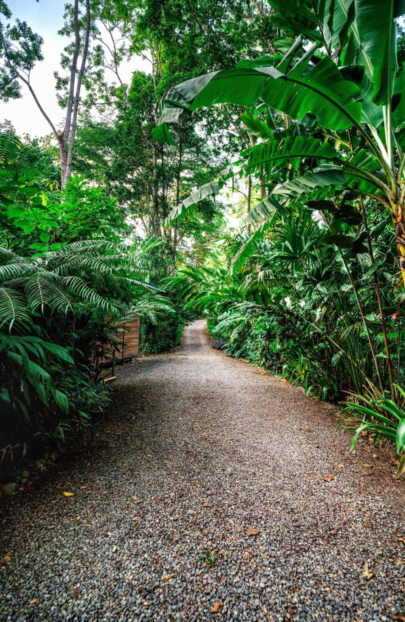 Villa La Shamana - Ecological Concept In Jungle à Cahuita Extérieur photo