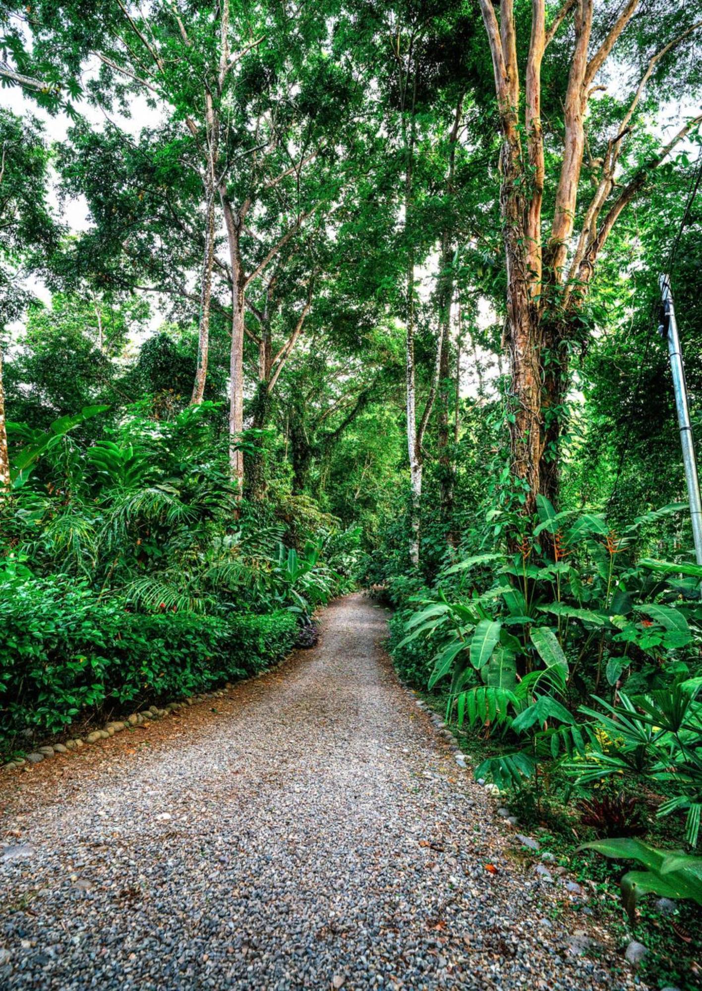 Villa La Shamana - Ecological Concept In Jungle à Cahuita Extérieur photo